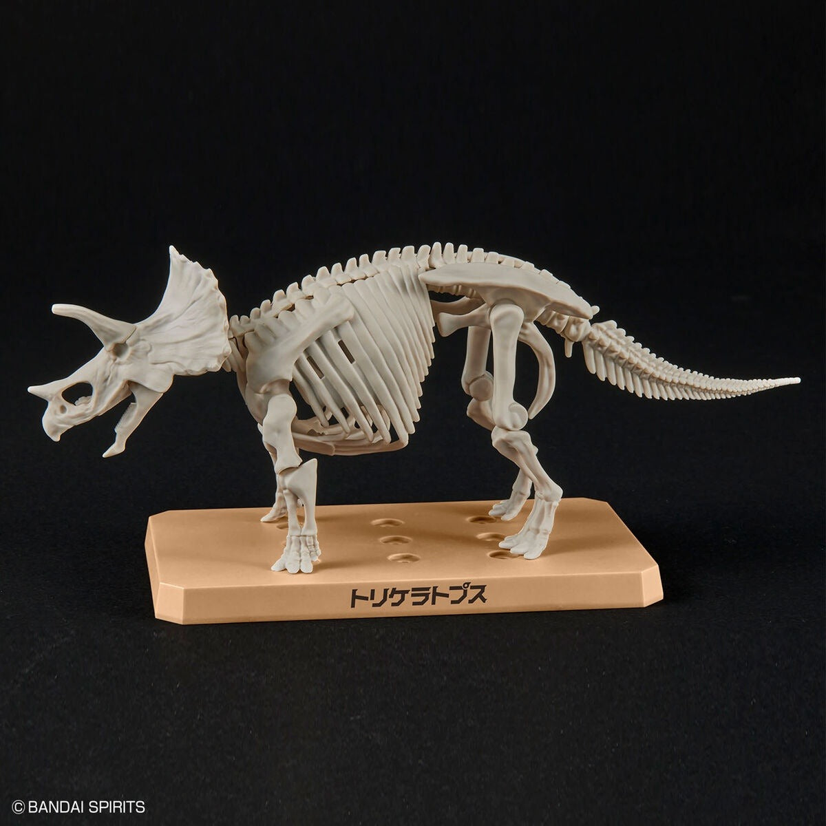 Bandai Dinosaur Plastic Model Kit Triceratops