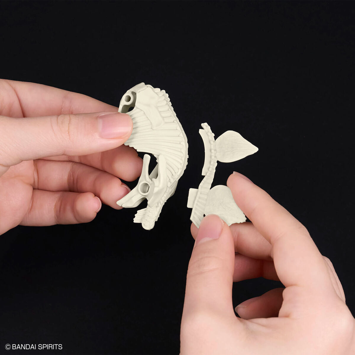 Bandai Dinosaur Plastic Model Kit Stegosaurus