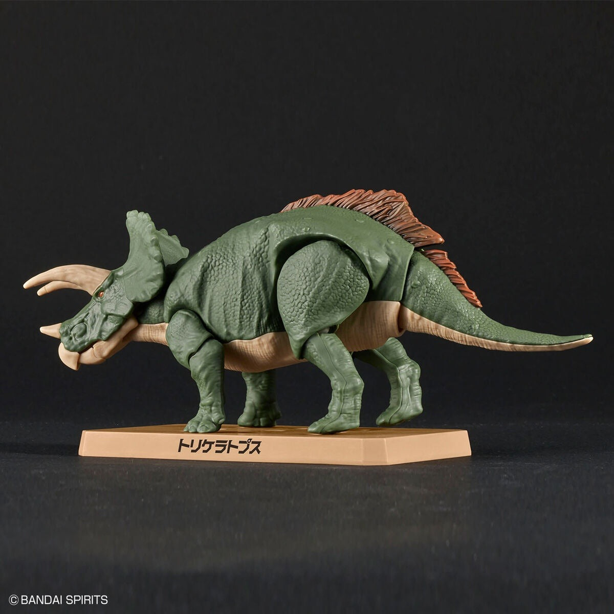 Bandai Dinosaur Plastic Model Kit Triceratops