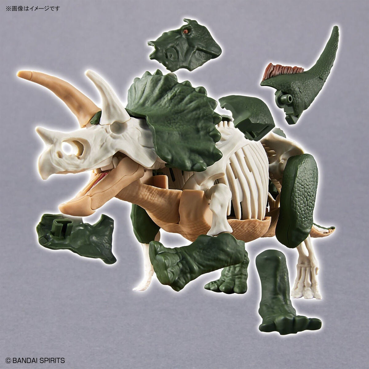 Bandai Dinosaur Plastic Model Kit Triceratops