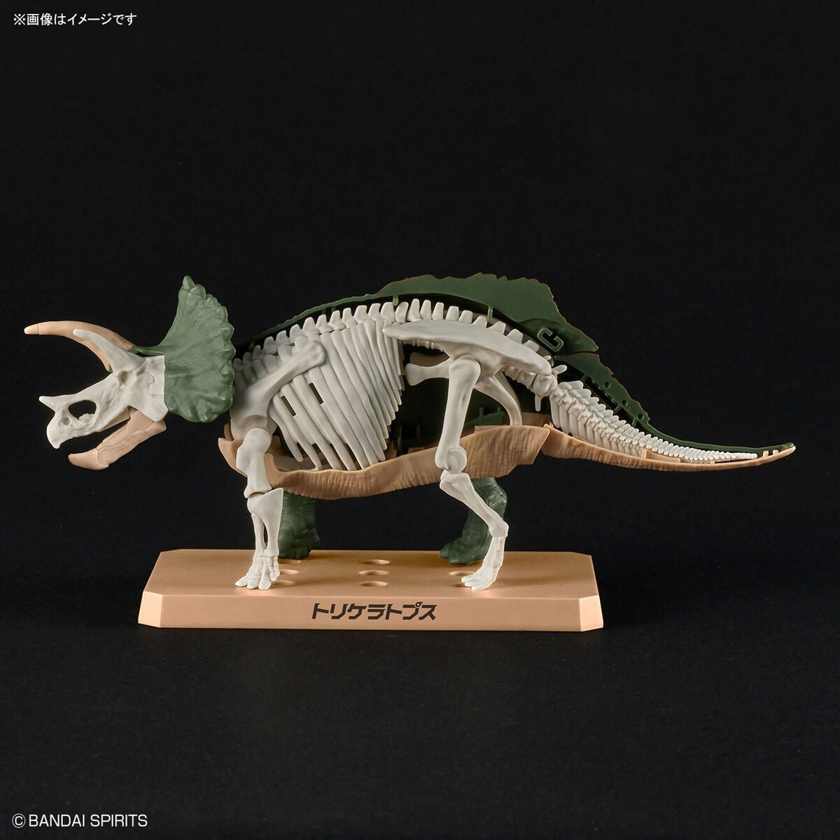 Bandai Dinosaur Plastic Model Kit Triceratops