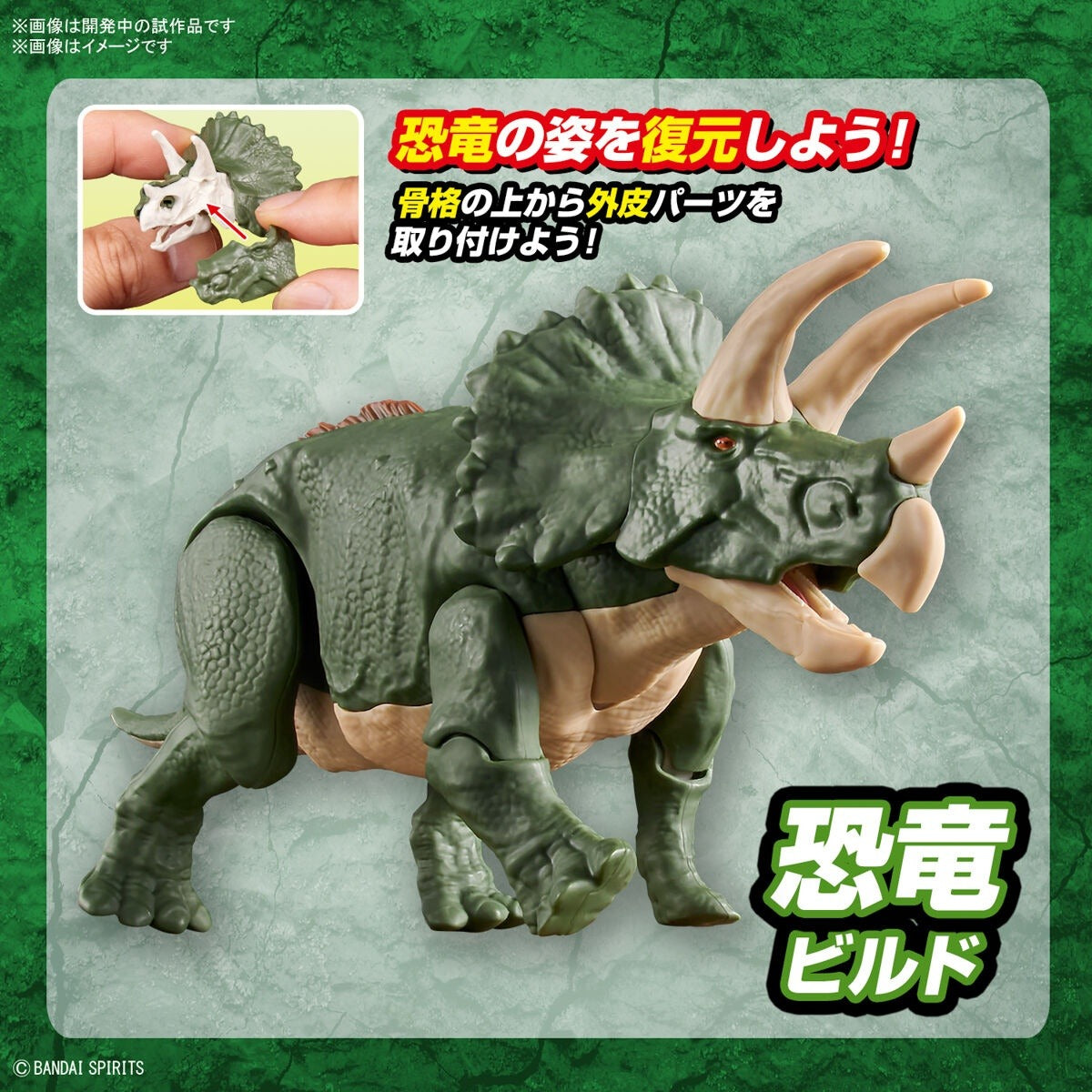 Bandai Dinosaur Plastic Model Kit Triceratops