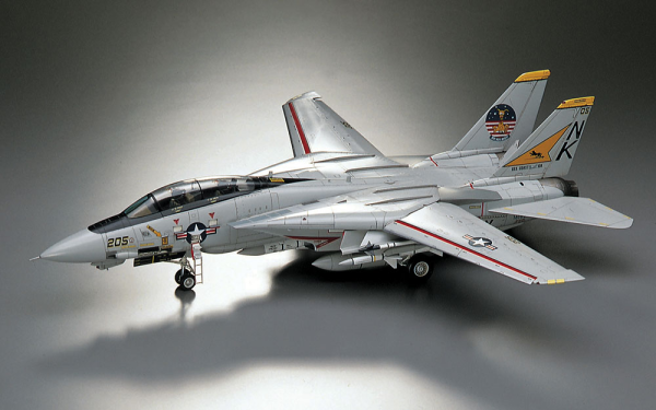 Hasegawa 1/48 F-14A Tomcat