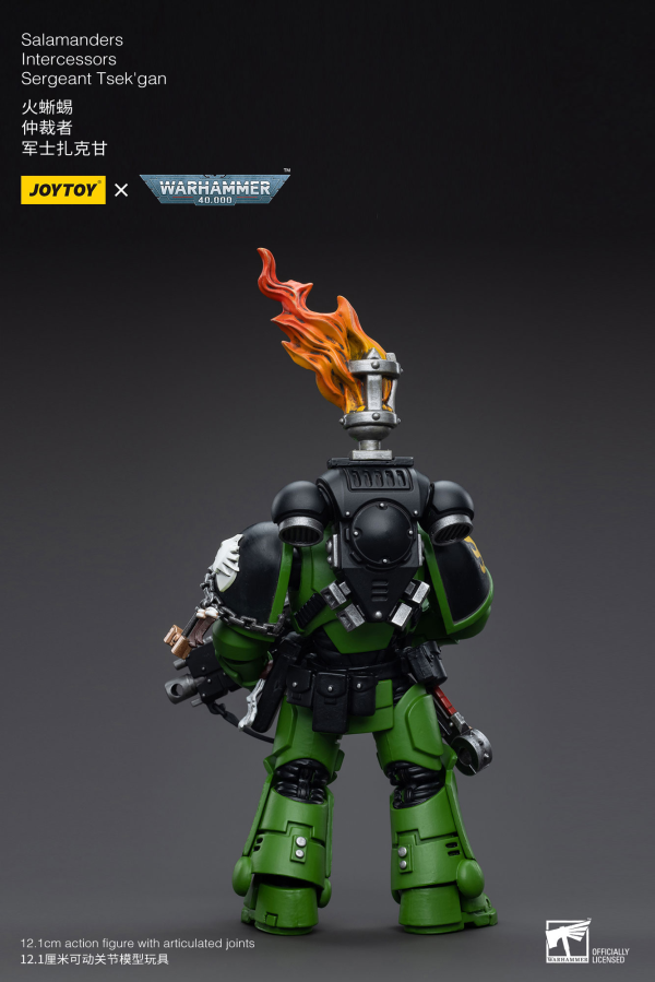 JoyToy Salamanders Intercessors Sergeant Tsek'gan