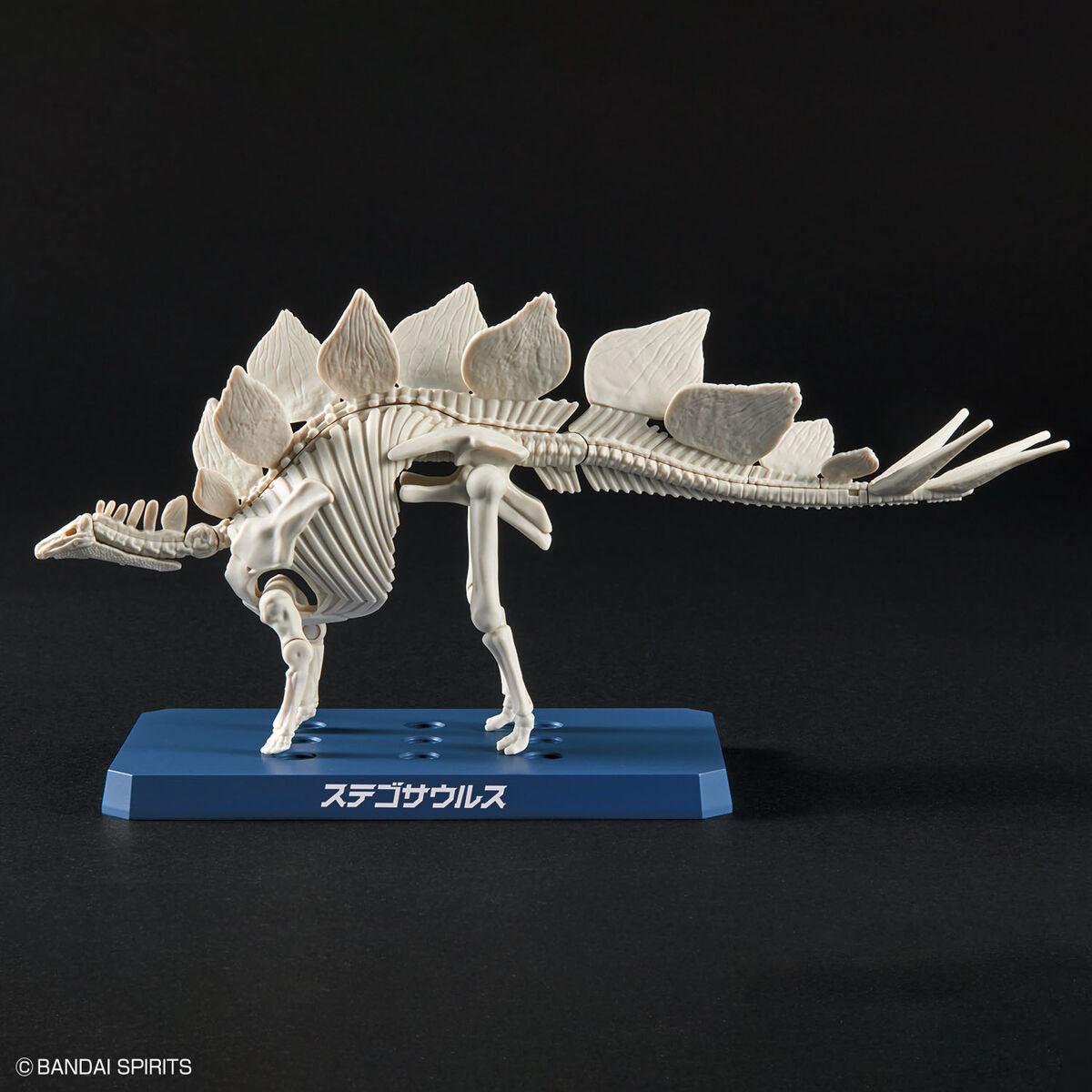 Bandai Dinosaur Plastic Model Kit Stegosaurus