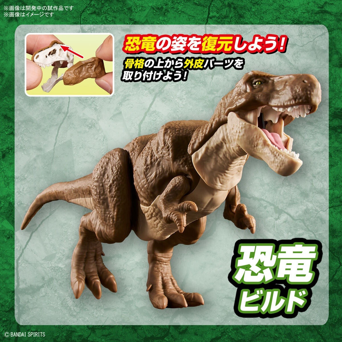 Bandai Dinosaur Plastic Model Kit Tyrannosaurus