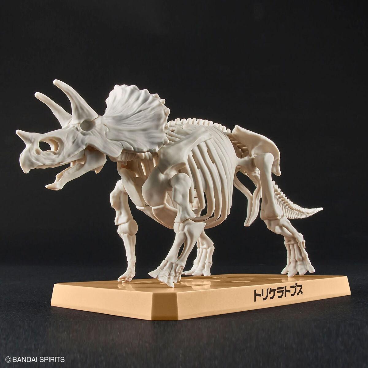 Bandai Dinosaur Plastic Model Kit Triceratops