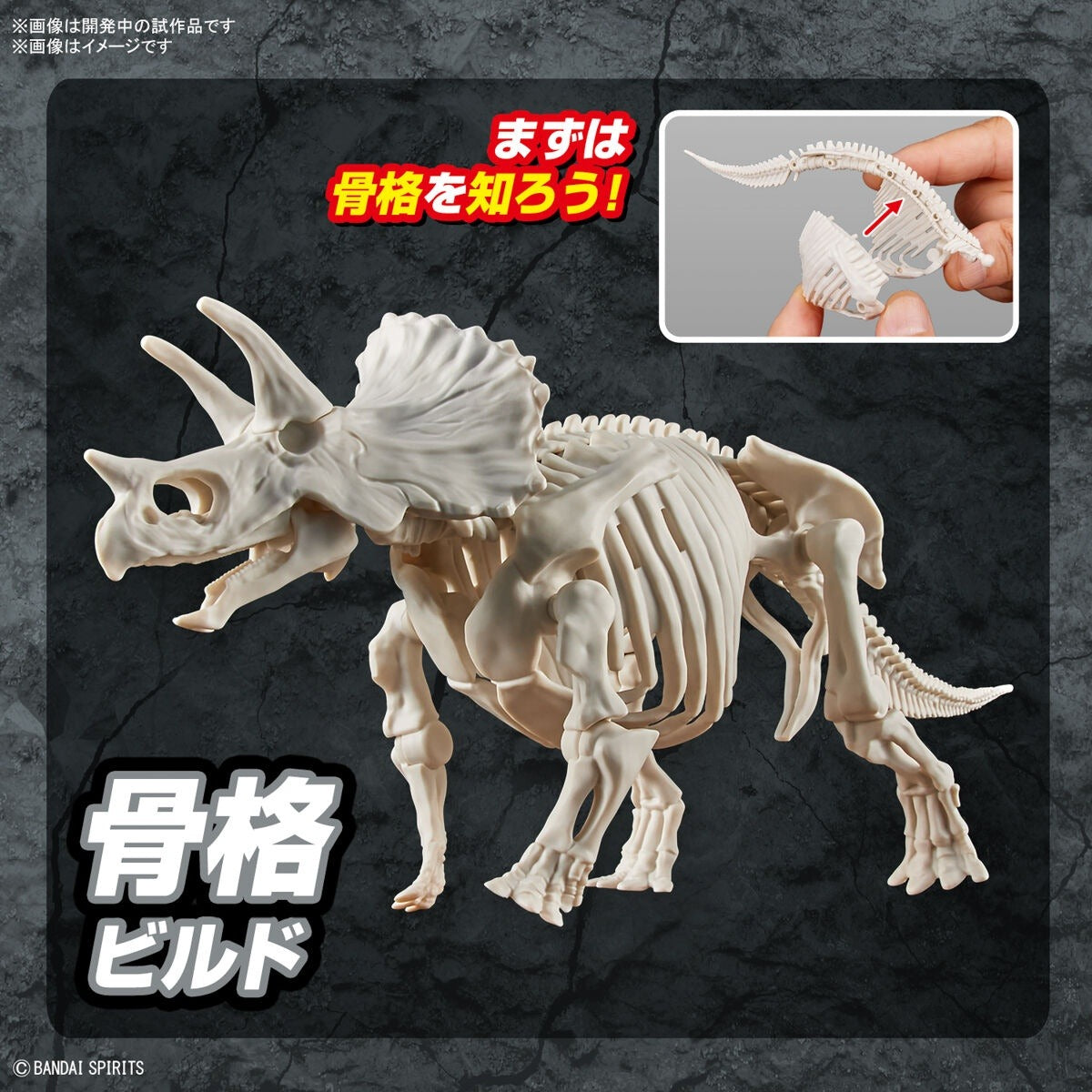 Bandai Dinosaur Plastic Model Kit Triceratops