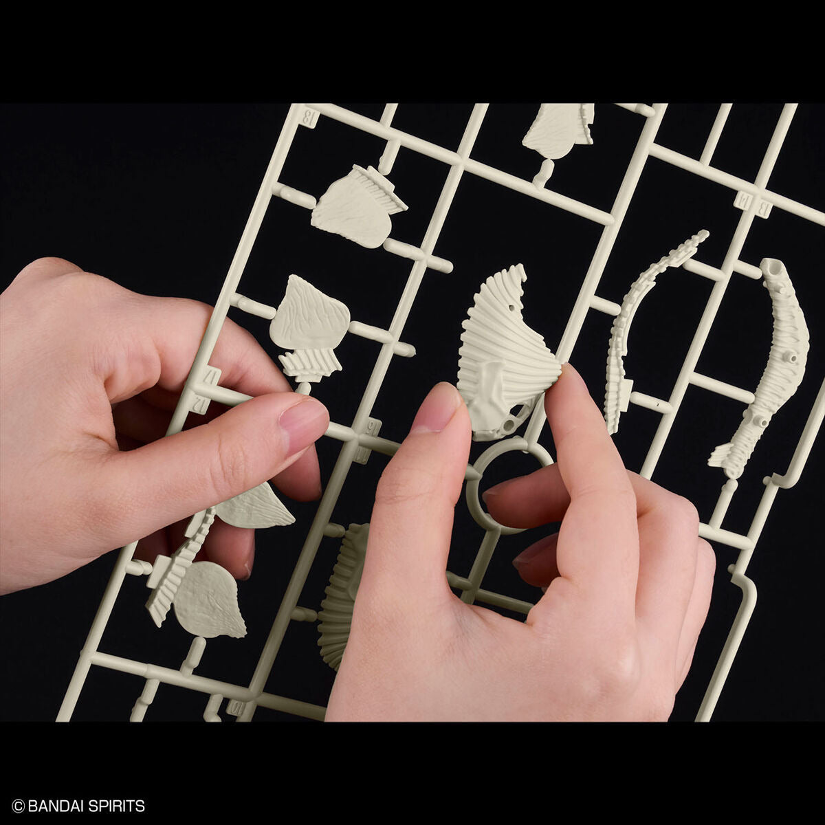 Bandai Dinosaur Plastic Model Kit Stegosaurus