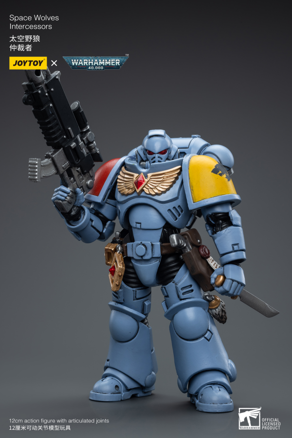 JoyToy Space Wolves Intercessors