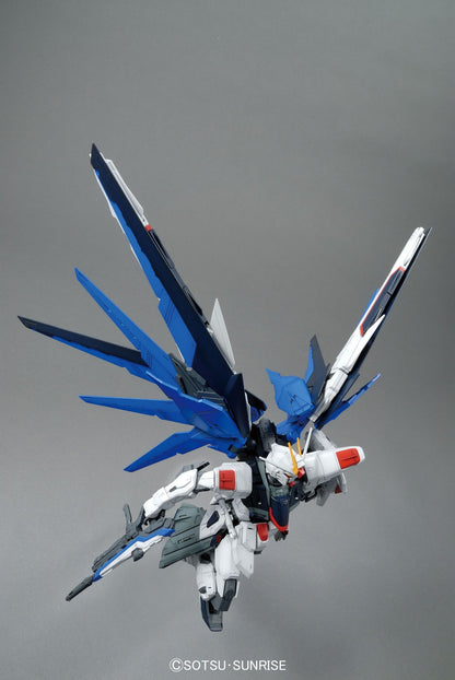 Bandai 1/100 MG Freedom Gundam Ver.2.0